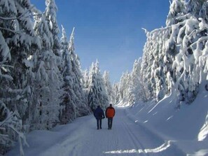 Snow and ski sports