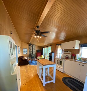Open concept kitchen and living room