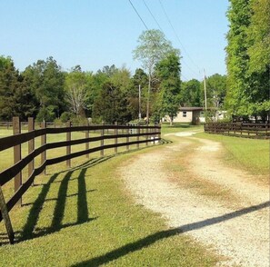 driveway into the home