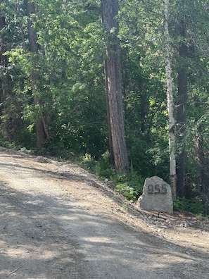 IMG 0690