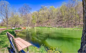 Peace by the back pond