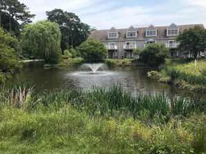 PropertyImg2