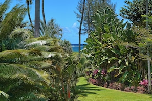 Partial ocean view can be seen from the Cottage