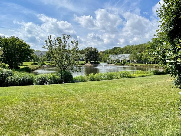 PropertyImg1