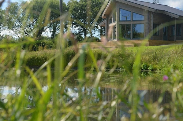 View across the lake to Ty Log