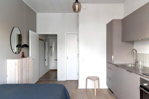 Studio apartment living room and kitchen