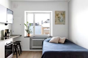Studio apartment living room and kitchen