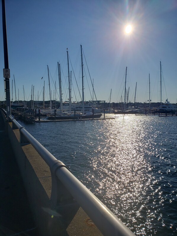 Marina