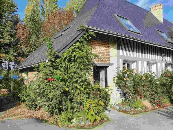Exteriör