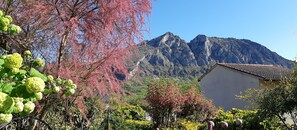 Vue Montagne du Saudour depuis le clos
