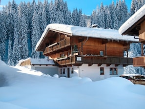 Building, Sky, Snow, Tree, House, Slope, Wood, Branch, Window, Freezing