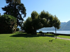 Gras, Natürliche Landschaft, Landschaft, Rasen, Außenbank, Kofferraum, Garten, See, Park