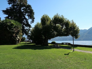 Gras, Natürliche Landschaft, Landschaft, Rasen, Außenbank, Kofferraum, Garten, See, Park