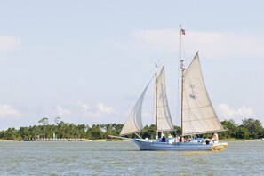 Experience a piece of Gulf Coast history aboard one of the iconic Biloxi Schooners. These beautifully restored wooden vessels are a tribute to the region’s deep maritime roots. 