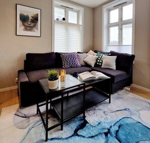 A TV-projector setup is seen in the window.