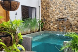 Plunge pool