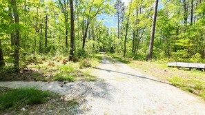 Driveway In/Out of Property - (Spring)