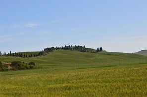 Gras, Natürlichen Umgebung, Wiese, Hügel, Natürliche Landschaft, Ökoregion, Einfach, Feld, Landschaft, Horizont
