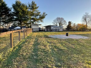View from yard of paddocks