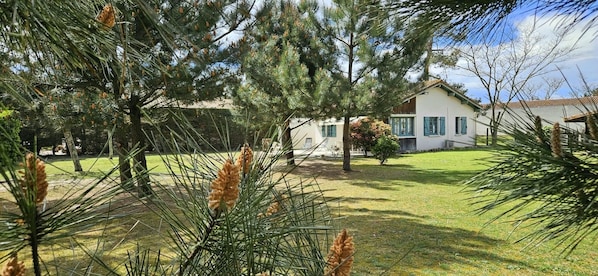 Photo 0
