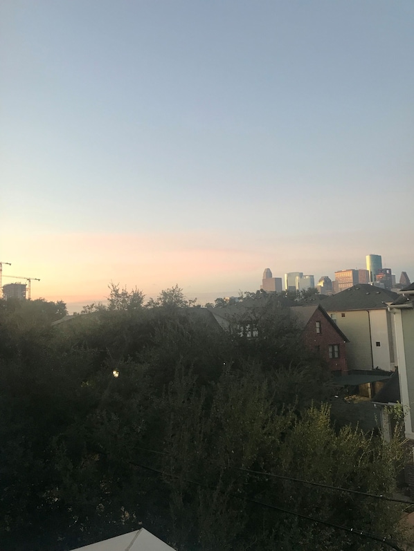 Downtown Houston Skyline