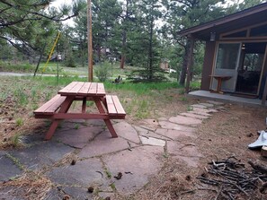 Backyard picnic table and plenty of lawn chairs for all.