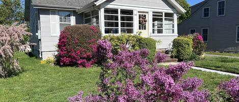 Cottage Front Yard & Enclosed Front Porch