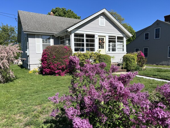 Cottage Front Yard & Enclosed Front Porch