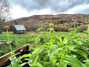 Back porch private mountain views