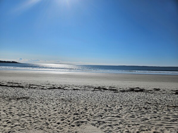 Part of the pristine 7 miles of beach OOB has to offer!  Seconds from our door.