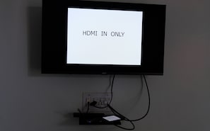 Television