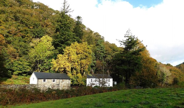 Outside view of the site of Red Dragon Holidays
