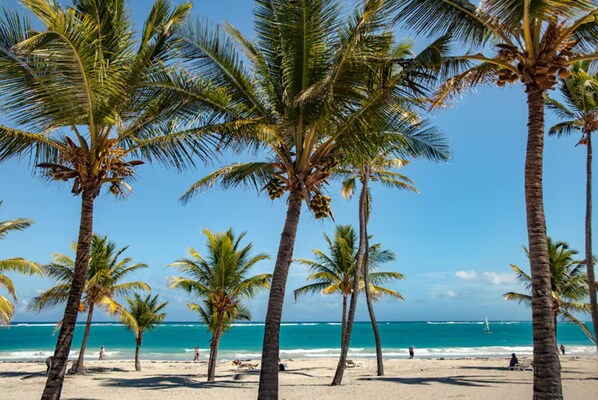 Playa