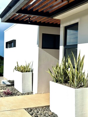 Front of the house at entrance 