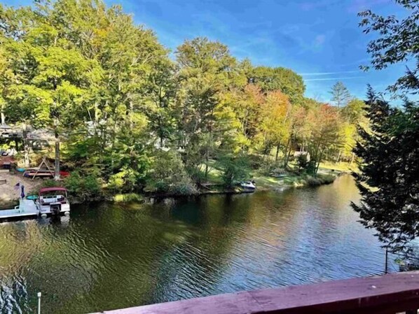 View from the back deck