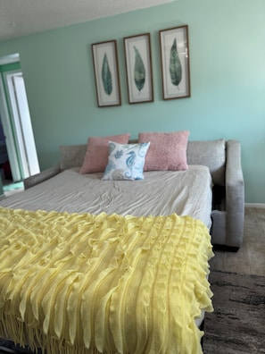 Queen Pull out Sofa Bed in the living room