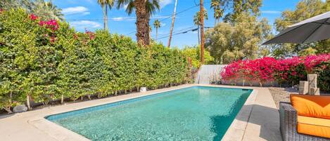 Cool Down in this Sparking Pool