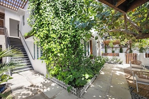 Charming courtyard with plants and lounge chairs. Nestled between the main house and a detached structure, this private outdoor space offers a tranquil escape from the hustle and bustle of daily life.