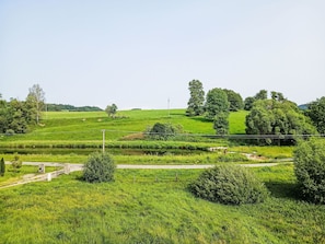 Green, Tree, Grass, Natural Environment, Nature, Natural Landscape, Grassland, Vegetation, Plain