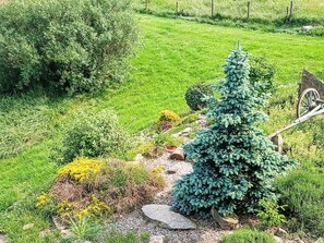 Shrub, Garden, Groundcover, Woody Plant, Landscaping, Evergreen, Pine Family