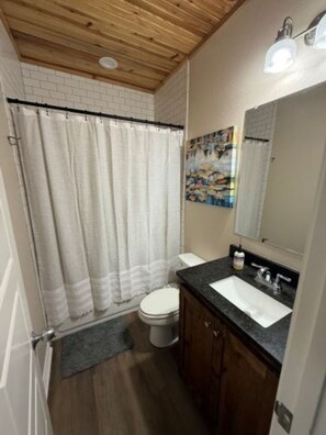 Main bath - shower/bathtub