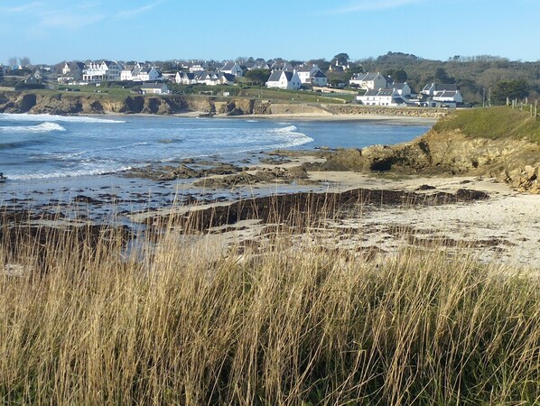 Strand