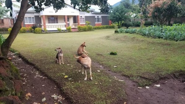 Property grounds