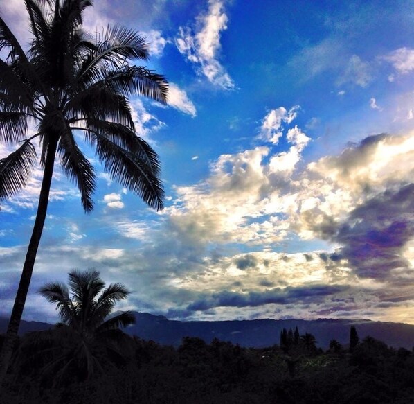 Amazing Tropical Skies