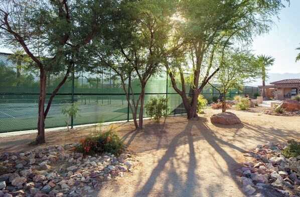 Sport court