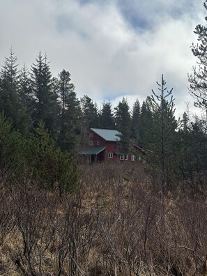 The Halibut House 