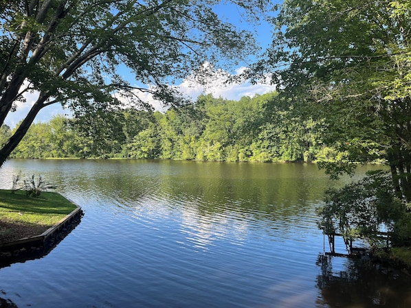 View From the Roof Top of the Boathouse