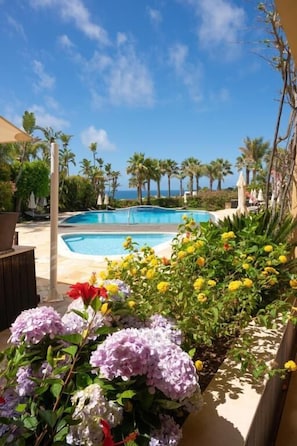 Pool view