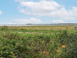 Vue sur l'eau