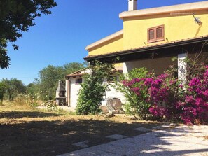 Strauch, Garten, Hazienda, Landscaping, Garten, Bauernhaus, Schatten, Hinterhof, Villa